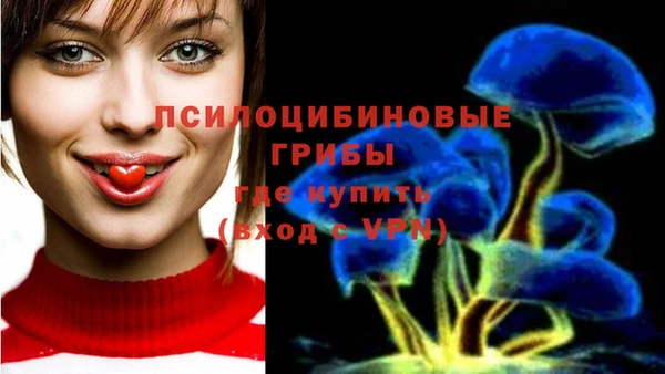гашиш Бородино