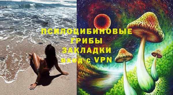 Альфа ПВП Верея