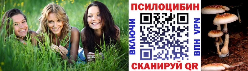 Галлюциногенные грибы MAGIC MUSHROOMS  Купить где  Пущино 